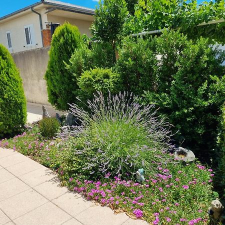 Apartment Nina Novi Vinodolski Ngoại thất bức ảnh
