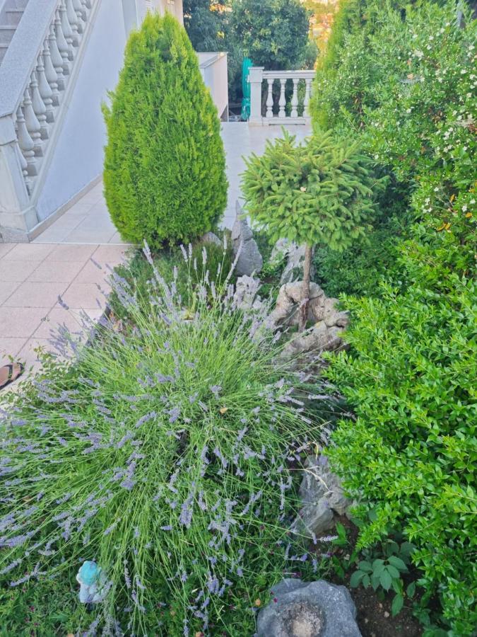 Apartment Nina Novi Vinodolski Ngoại thất bức ảnh